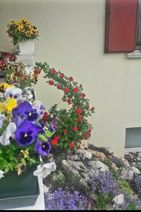 Villa Ama Pordenone Esterno foto