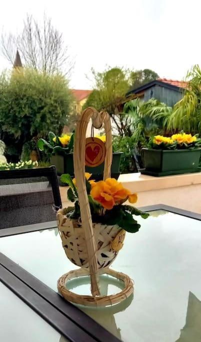 Villa Ama Pordenone Esterno foto