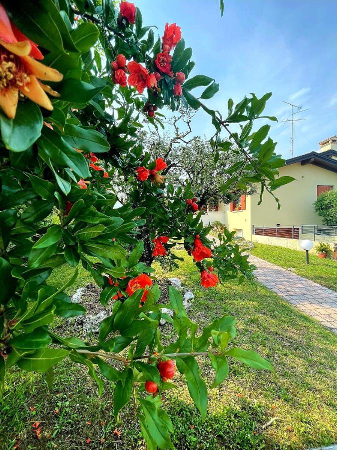 Villa Ama Pordenone Esterno foto