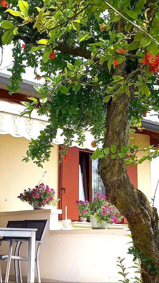 Villa Ama Pordenone Esterno foto